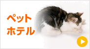 ペットホテル