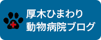 厚木ひまわり動物病院ブログ