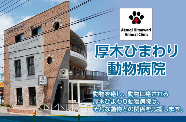厚木ひまわり動物病院